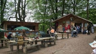  Da la bienvenida a Viking Adventure 